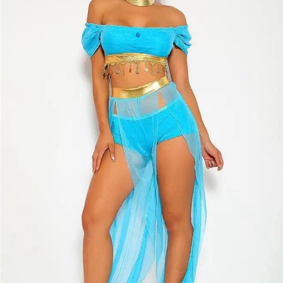 Princess Jasmine Costume - Picture 3 of 4